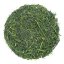 Ishidera Fukamushi Sencha 2025 - 50g