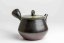 Fujii Ikkyuu Ash Glazed Yohen Banko - 200ml