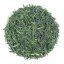 Gyokuro Gokou 2025 - 50g