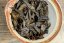 2021 Hunan Gao Ma Erxi Jin Hua - 50g