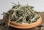 Java High Mountain Platinum Tips 5/2025 - 30g