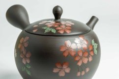 Hirotaka Umehara Red Flower Kyusu - 200ml