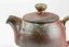 Tea Pot Shino 120ml No.17