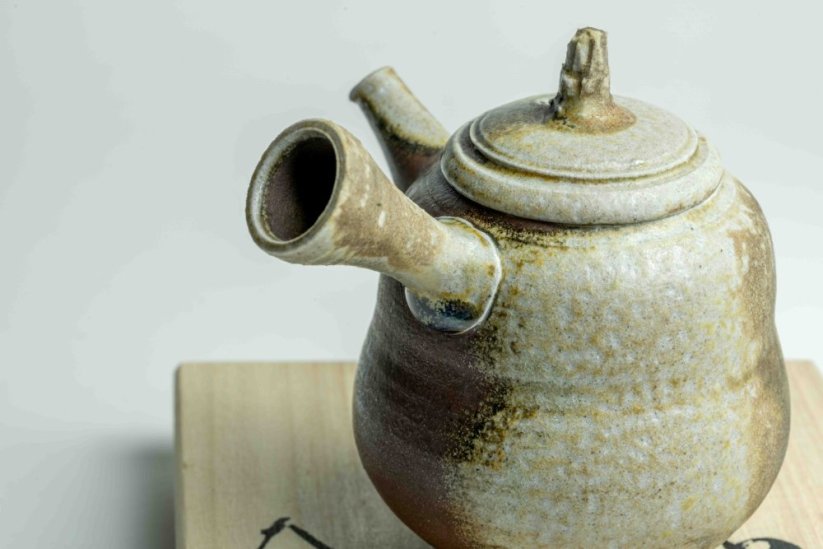 Taisuke Shiraiwa Yohen Kyusu  - 170ml