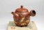 Munenori Morishita Full Body Hand-carving Cherry Blossoms - 200