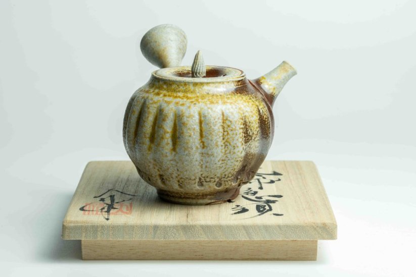 Taisuke Shiraiwa Yohen Kyusu  - 150ml