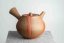 Seiho - Tsuzuki Takao Hidasuki Kyusu - 290ml