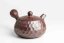 Mori Iroku IV Banko-Yaki Diamond Cut - 120ml
