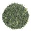 Kagoshima Saemidori Kabusecha 2025 - 50g