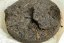 Wuzhou Liu Bao Jinhuabing - 2021/2025 - 250g