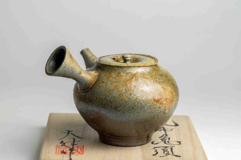 Taisuke Shiraiwa Yohen Kyusu  - 240ml