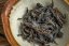 Zuo Ruyu I-Lan Rock Oolong 2014 - 30g