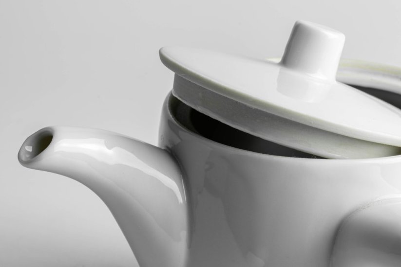 Mino Ware Porcelain Kyusu - 300ml