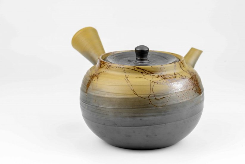 Hakusan Mogake Kyusu no.1 - 240 ml