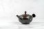 Koji Iwase Kyusu - 170 ml