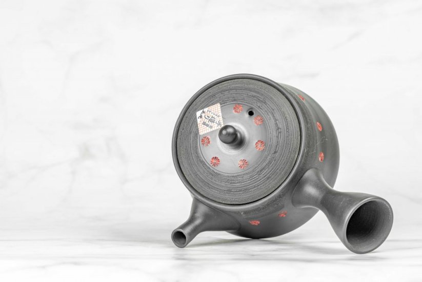 Tokoname Kyusu - 220ml