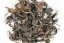 Tsou Alishan Dark Rose Summer 2016 - 30g