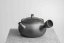 Yutaro Yamada Mogake Kyusu - 200ml