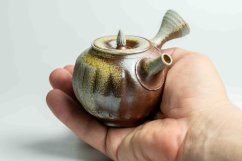 Taisuke Shiraiwa Yohen Kyusu  - 150ml