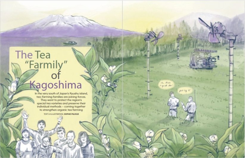 t-Magazine - English Bundle - issues #1,2,3