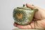 Shunen II Butterfly Kyusu - 250 ml