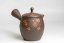 Hirotaka Umehara Red Cherry Kyusu - 240ml