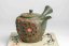 Shunen Mano Double-layer Plum Blossom Kyusu - 250 ml