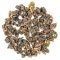 YuShan High Mountain Gaba 2023 - 50g