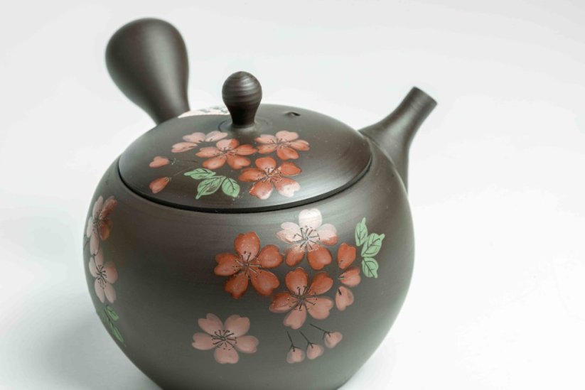 Hirotaka Umehara Red Flower Kyusu - 200ml