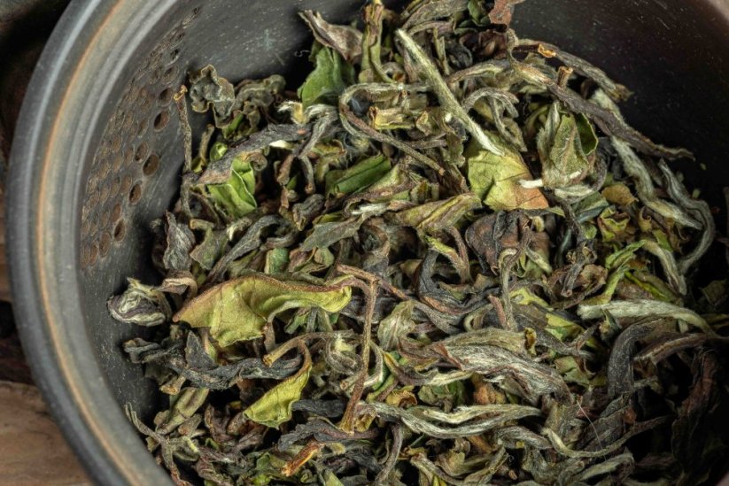 Darjeeling Takdah Spring Blossoms  FF2026 - 50g