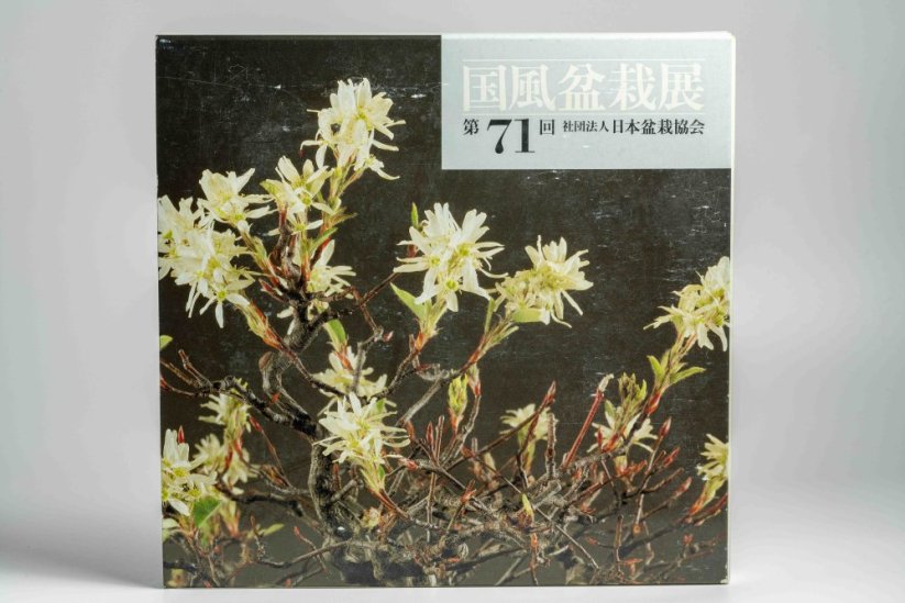 Kokufu Ten  Exhibit Books - Ročník: No.81
