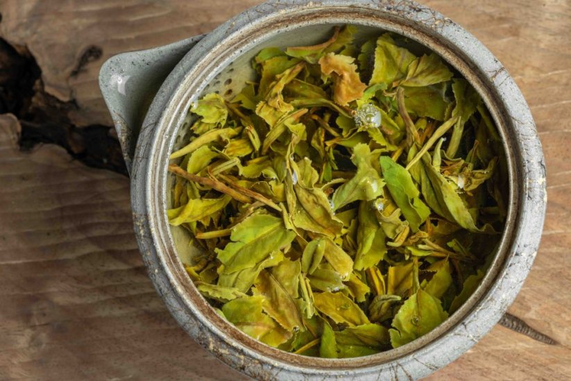 Darjeeling Giddapahar Clonal Wonder FF2026 - 50g