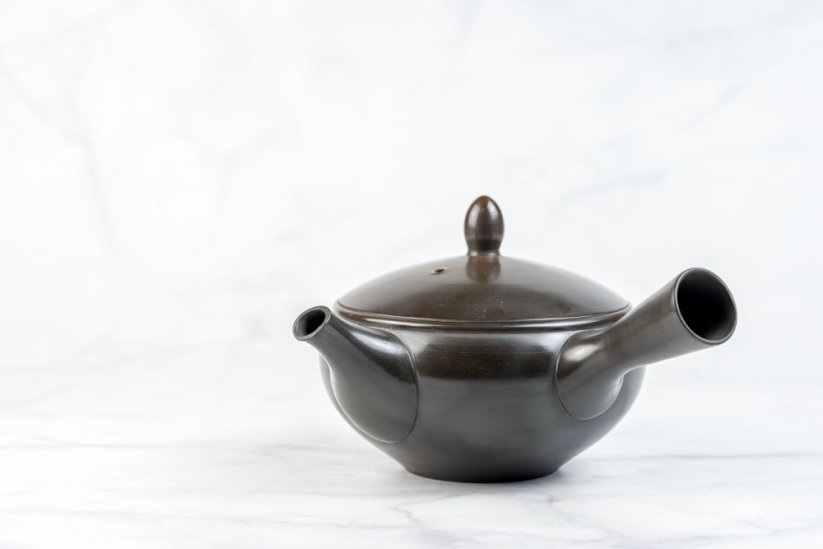 Koji Iwase Kyusu - 240 ml