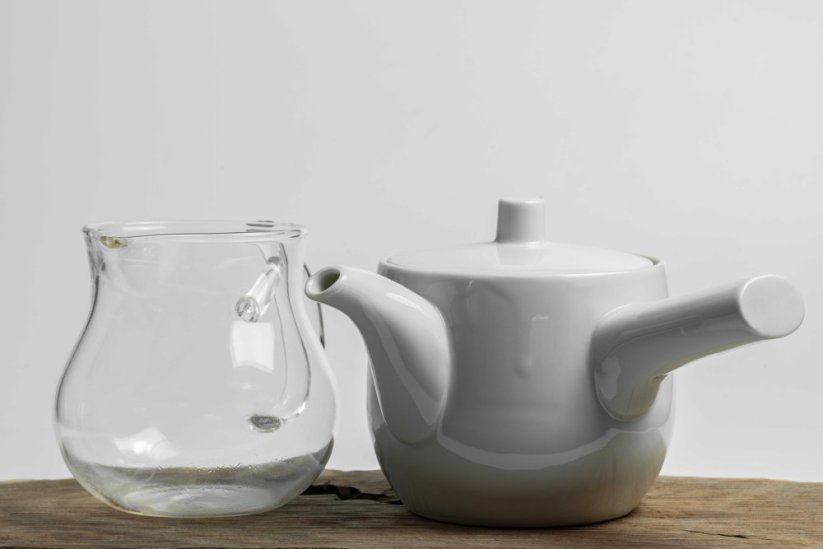 Mino Ware Porcelain Kyusu - 300ml
