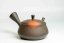 Hirotaka Umehara Fuji Shape Kyusu - 240ml