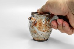 Kyusu Earth MK.17 - 140ml