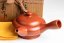 Vintage Gyokuharu Peony Kyusu - 170ml