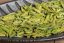 Xiaoshan PQM Long Jing #43 - 2026 - 30g