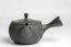 Hirotaka Umehara Red Flower Kyusu - 300ml