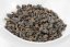 Hong Shui Dung Ti Oolong 2024 - 50g