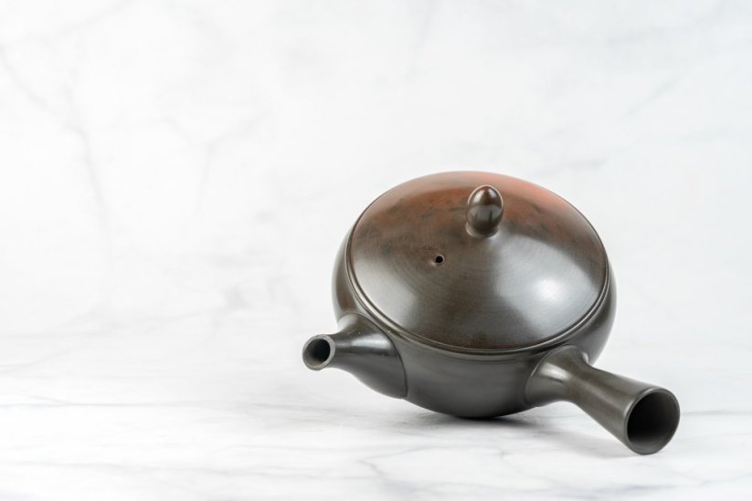 Koji Iwase Kyusu - 240 ml