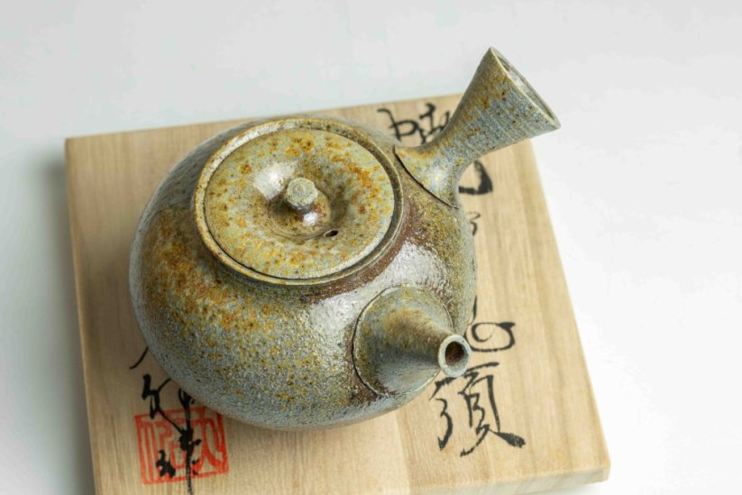 Taisuke Shiraiwa Yohen Kyusu  - 240ml