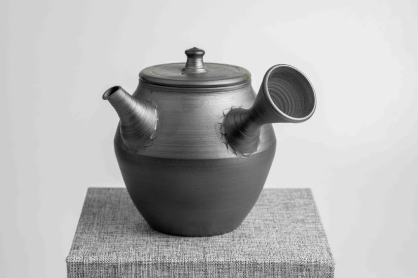 Yutaro Yamada Mogake Kyusu - 230ml