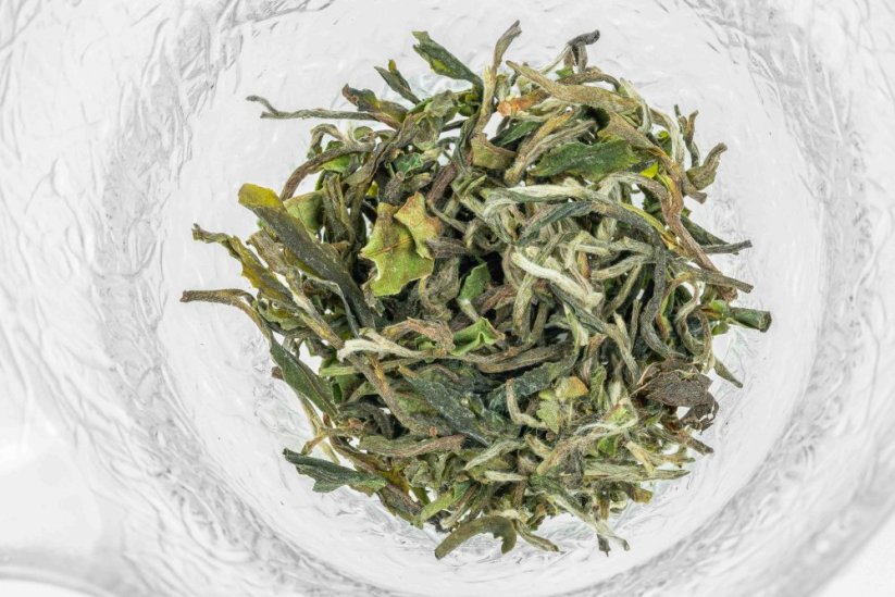 Nepal Ganesh Ilam Spring Moonshine FF2026 - 50g