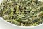 Darjeeling North Tukvar SFTGFOP1 FF2025 - 50g