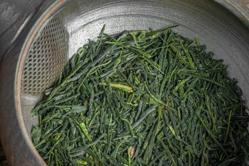 Ohbukudani Asamushi Sencha 2025 - 50g