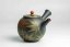 Seiho - Tsuzuki Takao Momiji Kyusu - 280ml