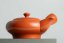 Yozan Hisada Peony Kyusu - 220ml