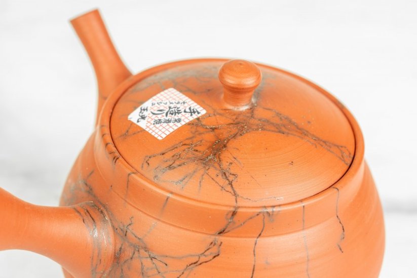 Hirotaka Umehara Mogake Kyusu - 240 ml