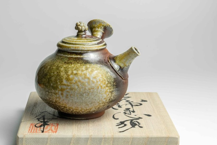 Taisuke Shiraiwa Yohen Kyusu  - 170ml